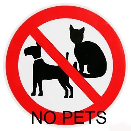 Apartment Florian Solden