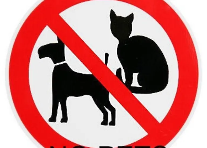 Appartement Florian Sölden